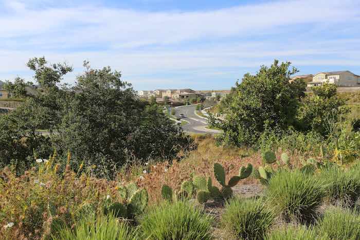 Orange County 55+ Esencia Rancho Mission Viejo CA