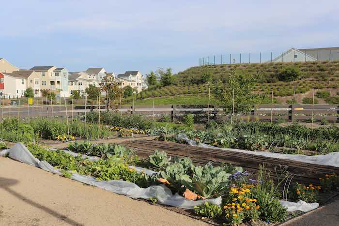 Orange County 55+ Esencia Rancho Mission Viejo Farm