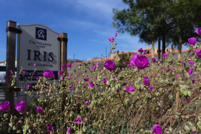 Rancho Mission Viejo 55 plus communities at Esencia