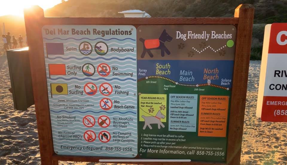 del mar dog beach dog park san diego county off leash beaches2020 01 12 at 6.23.41 PM 3