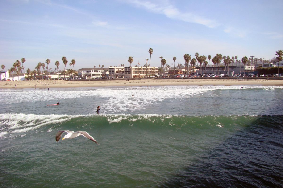 Ocean Beach Homes For Sale DreamWell Homes Realty Jean and Ken