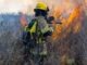 California Wildfire Home Insurance