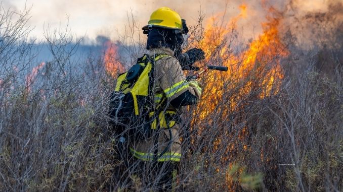 California Wildfire Home Insurance