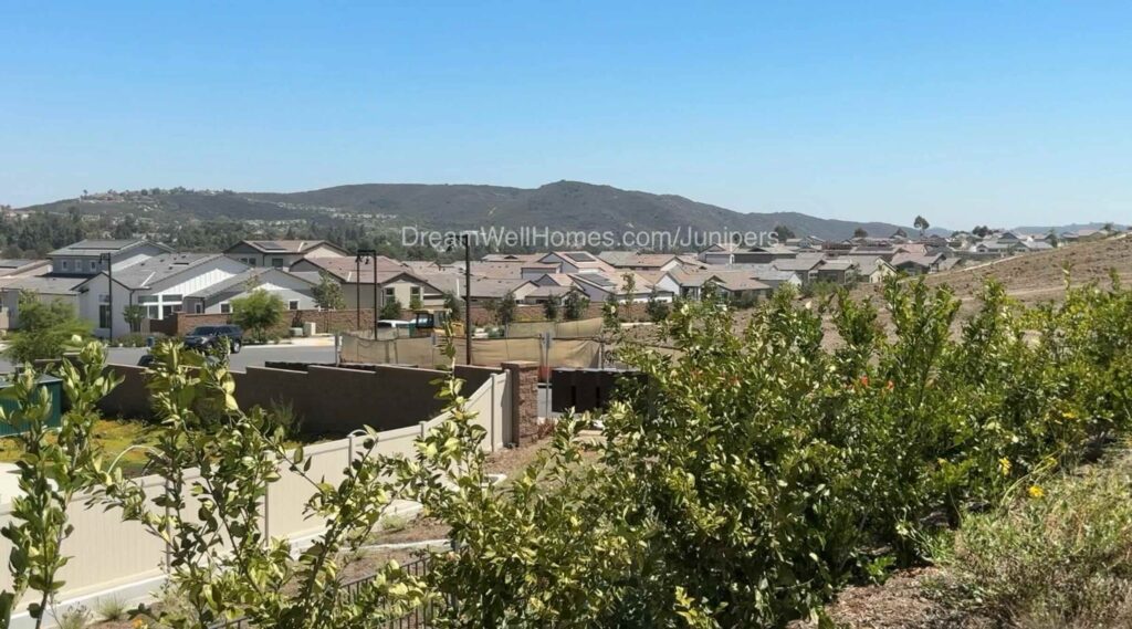 Junipers San Diego CA View of Homes