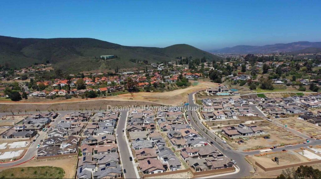 Junipers in Rancho Penasquitos